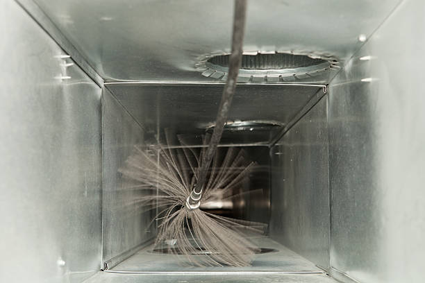 Best Residential Air Duct Cleaning  in Esperance, WA
