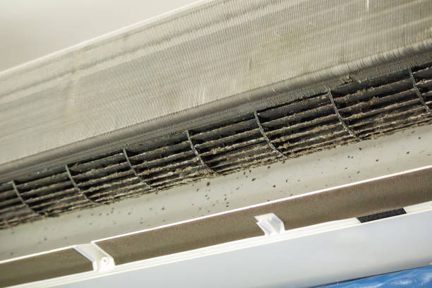 Best HVAC Maintenance and Cleaning  in Esperance, WA